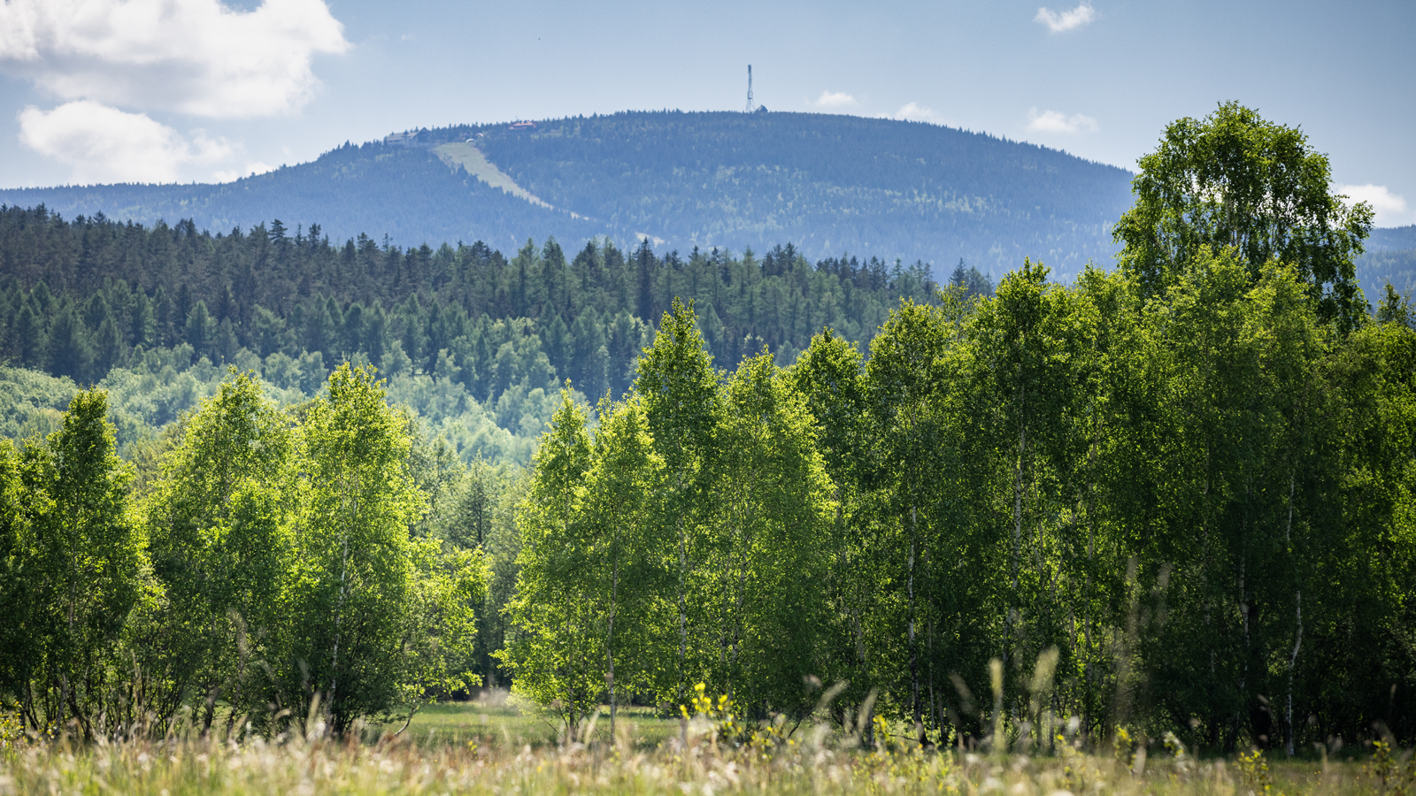 5 lokalizacji z widokowymi działkami do 15 km od Świeradowa-Zdroju