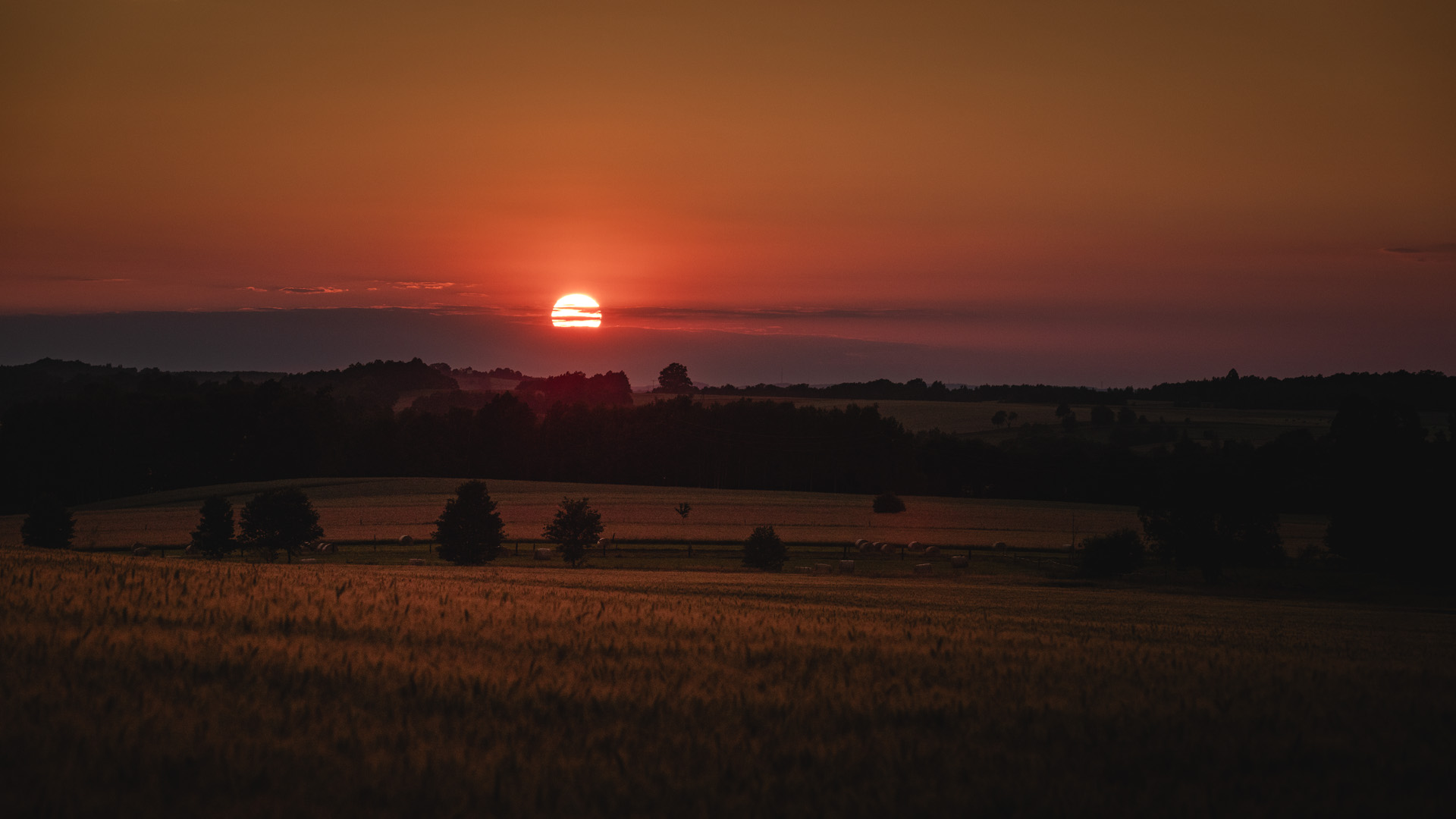 _93A7598